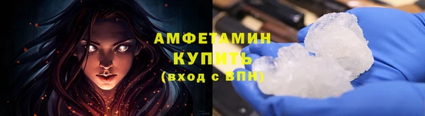 прущие грибы Магадан