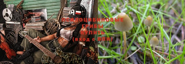 ешки Лабытнанги