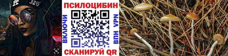 OMG зеркало  Лесозаводск  Галлюциногенные грибы MAGIC MUSHROOMS 