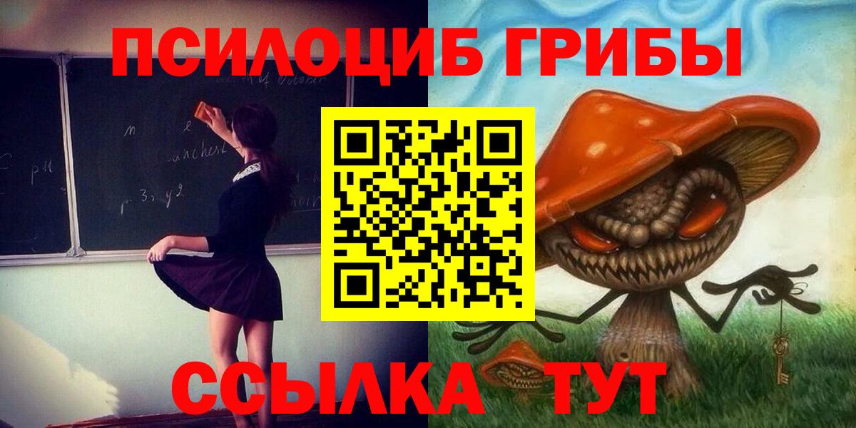 Лесозаводск  цены   Вход с VPN  Галлюциногенные грибы MAGIC MUSHROOMS 