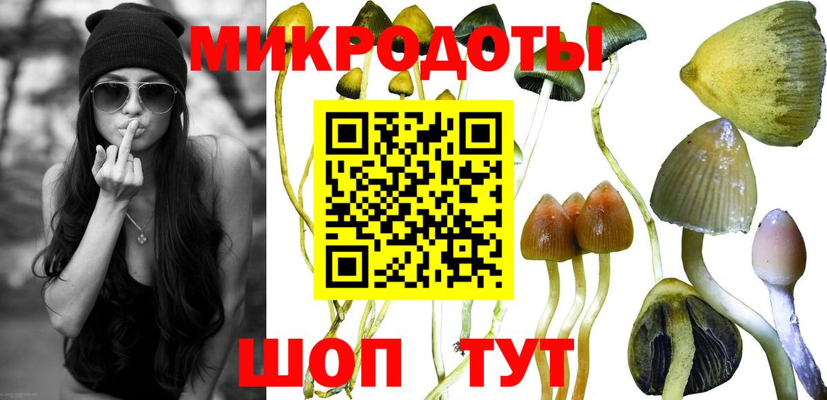 Галлюциногенные грибы прущие грибы Лесозаводск