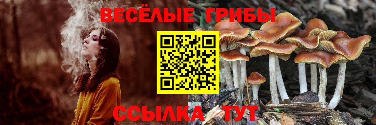 Галлюциногенные грибы MAGIC MUSHROOMS Лесозаводск