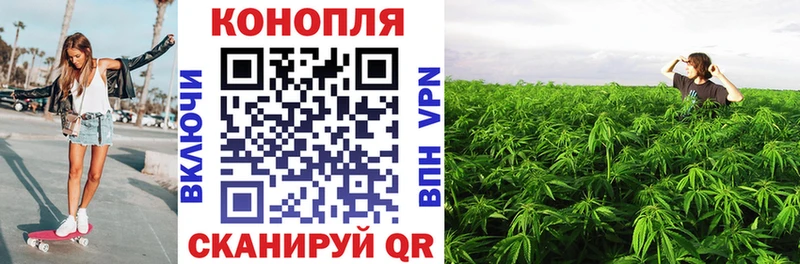 Бошки марихуана план  Лесозаводск 